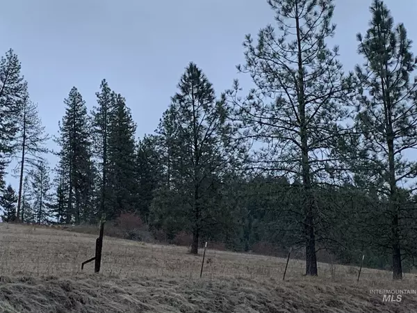 Kooskia, ID 83539,000 Clear Creek-Cedar Creek