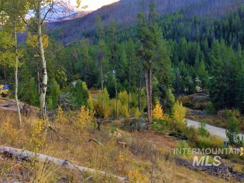 Warren, ID 83671,1.38 AC Main Street