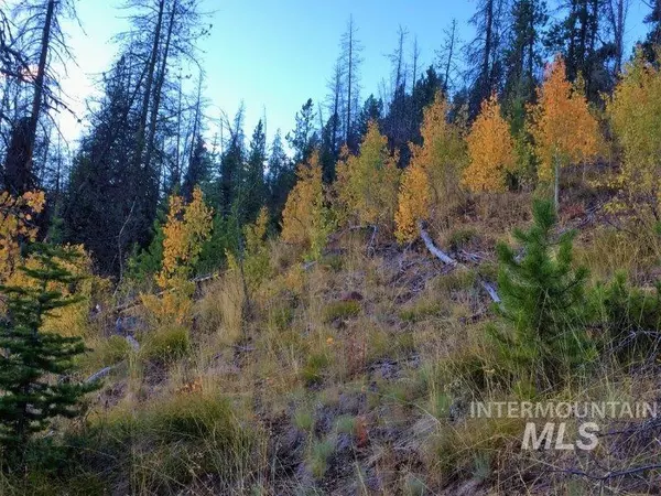 Warren, ID 83671,1.38 AC Main Street