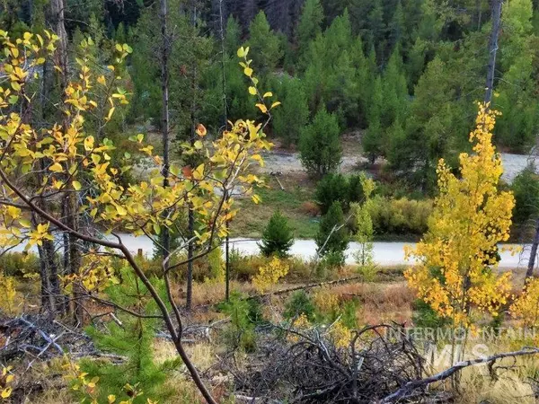 Warren, ID 83671,1.38 AC Main Street