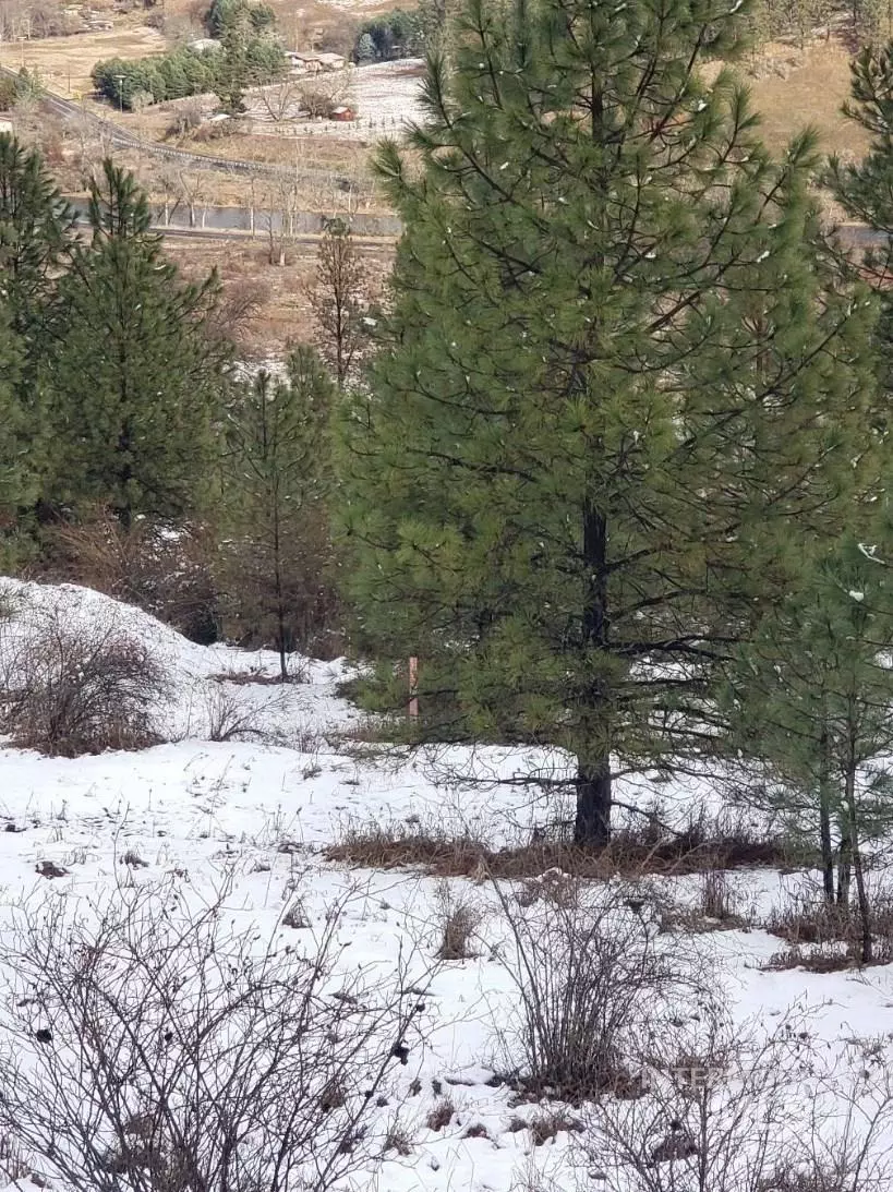 Stites, ID 83522,124 Rio Vista