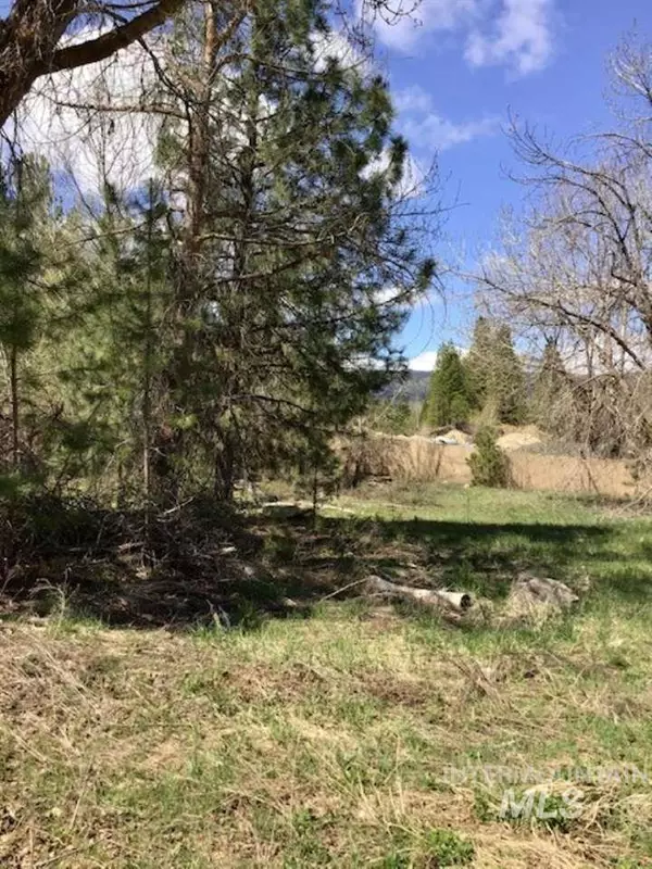 Idaho City, ID 83631,Lot 6 Prospector Lane