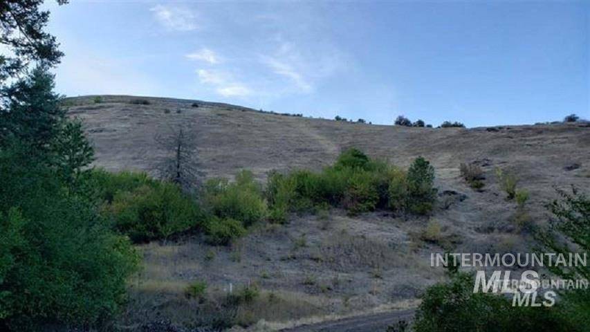 Kooskia, ID 83539,TBD Canyon Dr - Lots 1/2 Blk B