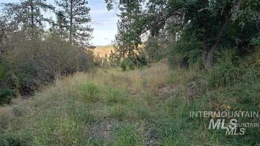 TBD Canyon Dr - Lots 1/2 Blk C, Kooskia, ID 83539