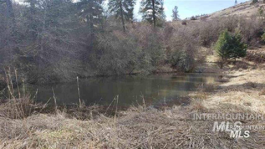 Kooskia, ID 83539,TBD Canyon Dr - Lots 3/6 Blk C