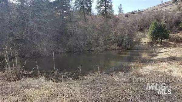 Kooskia, ID 83539,TBD Canyon Dr - Lots 3/6 Blk C