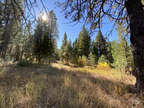 New Meadows, ID 83654,TBD Tamarack View Drive