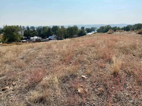 Bruneau, ID 83604,Lot 2 Hill Rd