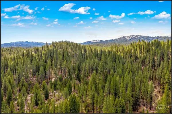 Idaho City, ID 83631,Lot 78 Lainey Lane