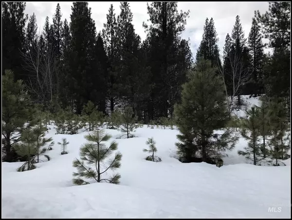 Idaho City, ID 83631,Lot 78 Lainey Lane