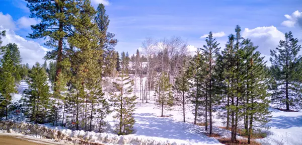 LOT 16 Blk 3 Duquette Pines Sub 4, Idaho City, ID 83631