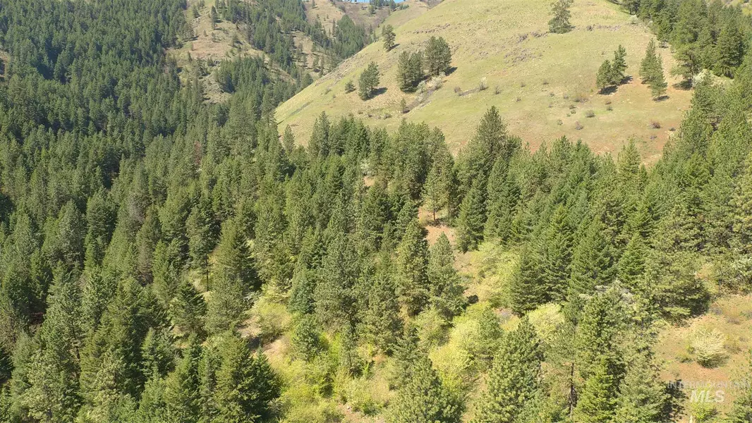 Lot 80 Twin River Ranch Amend #1, White Bird, ID 83554