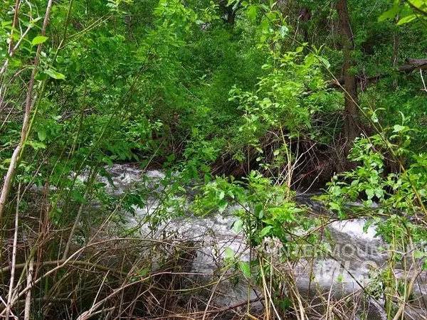 Cambridge, ID 83610,TBD Ward Road