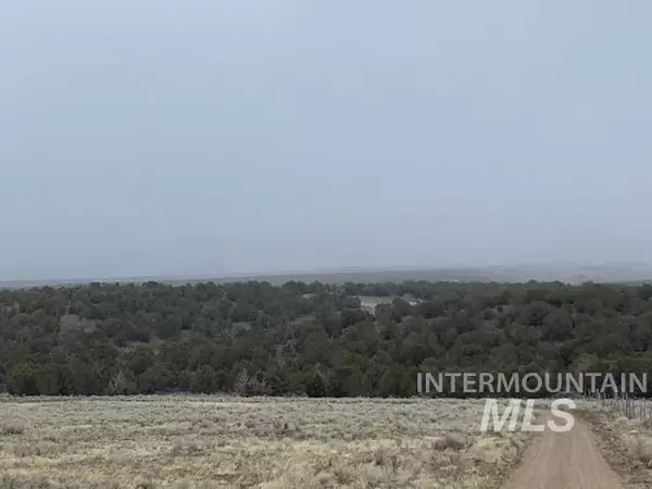 Elba, ID 83342,TBD S. Elba Almo Rd.