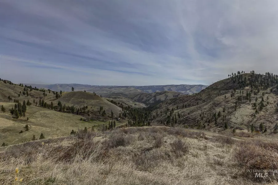 TBD Deer Creek Road, White Bird, ID 83554