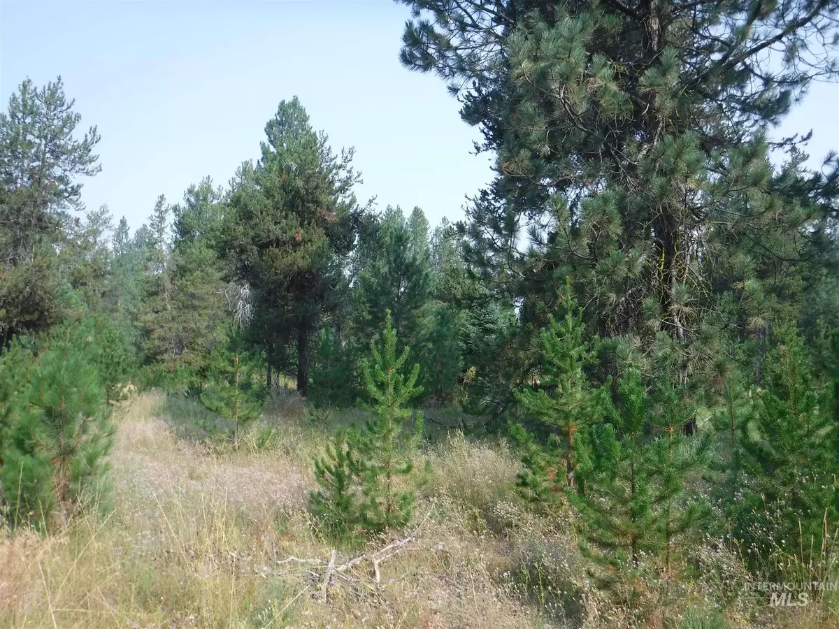 Cascade, ID 83611,TBD Lot 2 Mineral Dr