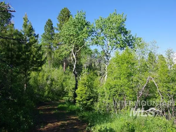 Cambridge, ID 83610,TBD Cow Creek Road