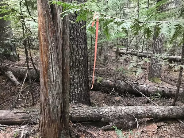 St. Maries, ID 83861,322 Blue Rock Drive