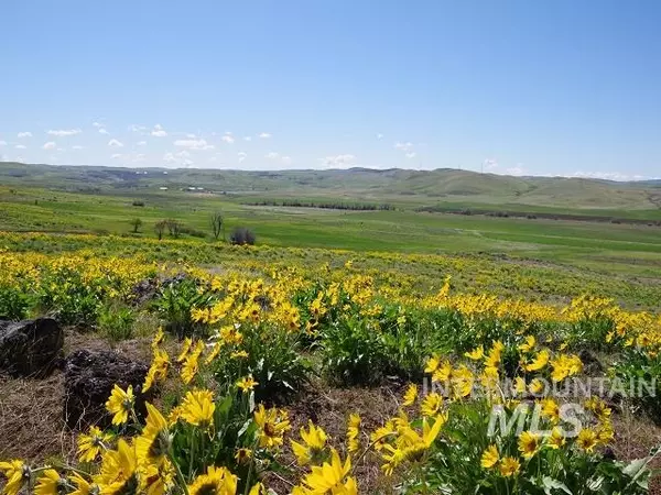 Cambridge, ID 83610,TBD Stage Coach Road