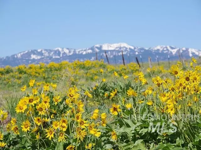 Cambridge, ID 83610,TBD Stage Coach Road