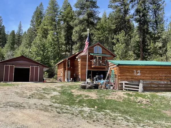 Lowman, ID 83637,12 Valley View Way