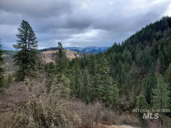 TBD Wagon Rd., Harpster, ID 83552