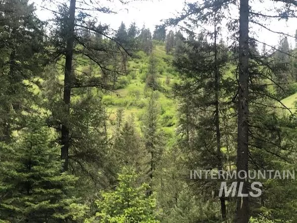 Harpster, ID 83552,TBD Wagon Rd.