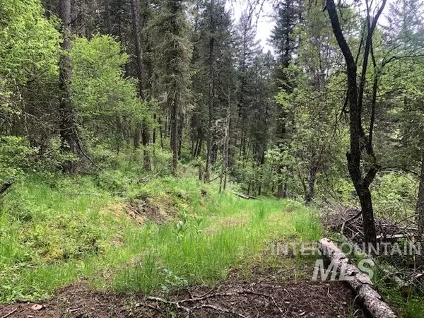 Harpster, ID 83552,TBD Wagon Rd.