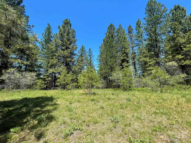 Lot 11 Payette River Ranchettes, Banks, ID 83602