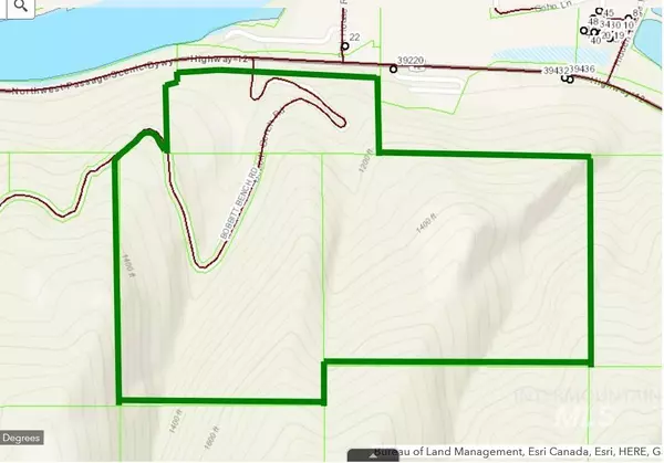 Orofino, ID 83545,TBD Bobbit Bench Road