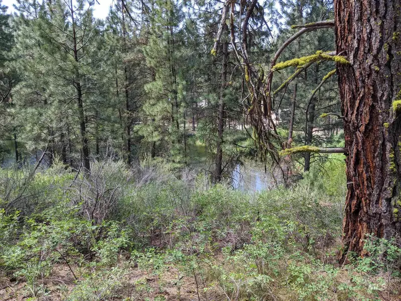 TBD Fir Drive, Idaho City, ID 83631