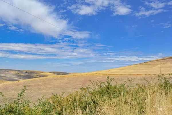 Lapwai, ID 83540,TBD Deacon Ridge