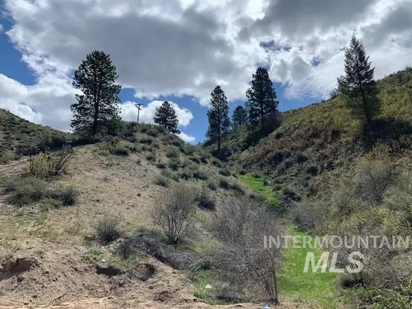 Robie Creek, ID 83716,TBD Flowing Springs Road