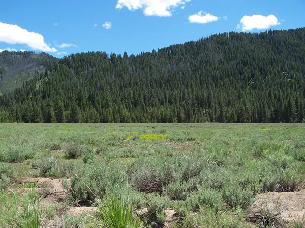 TBD E E. Baumgartner, Featherville, ID 83647