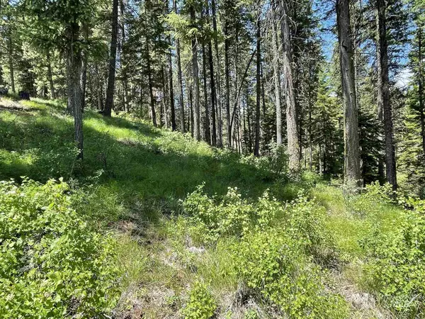 New Meadows, ID 83654,lot 6 Sorrel Dr