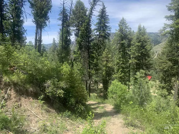 Lowman, ID 83637,25 Willow Dr