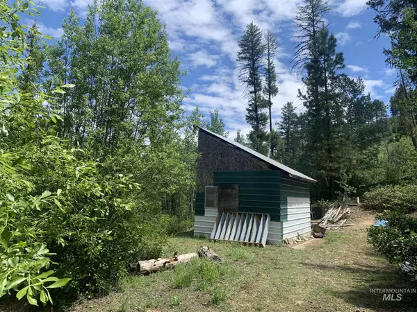 Lowman, ID 83637,25 Willow Dr