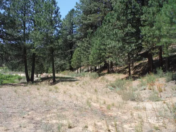 Centerville, ID 83631,33 N Meadow Creek Dr