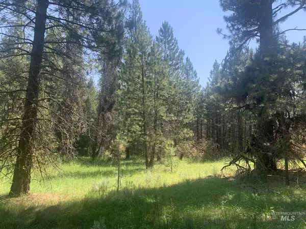 Cascade, ID 83611,TBD/ LOT 13 Price Loop