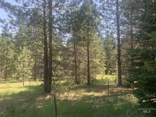 Cascade, ID 83611,TBD/ LOT 13 Price Loop