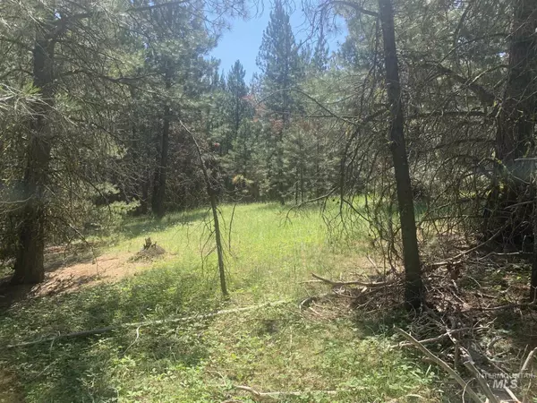 Cascade, ID 83611,TBD/ LOT 13 Price Loop