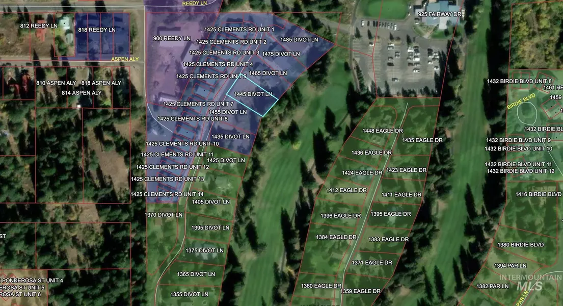 1445 Divot, Mccall, ID 83638