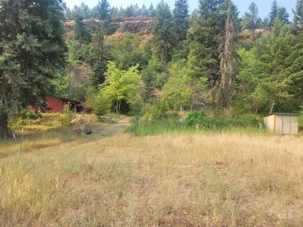 Kooskia, ID 83539,205 Long Bluff Road