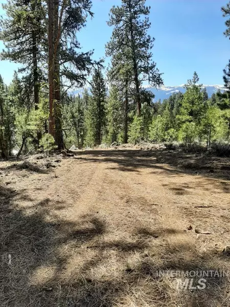 1464 Crown Point Parkway, Cascade, ID 83611