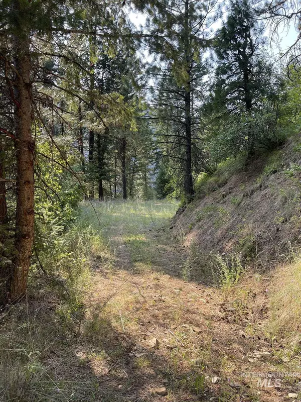 New Meadows, ID 83654,0000 Hwy 95