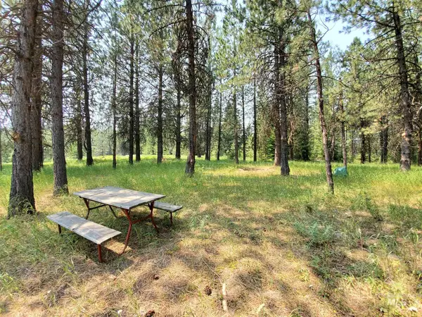 Lot 9 Grider Lane, Anatone, WA 99401