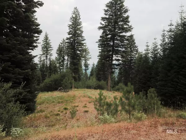 Cascade, ID 83611,TBD/ Lot 56 Price Loop