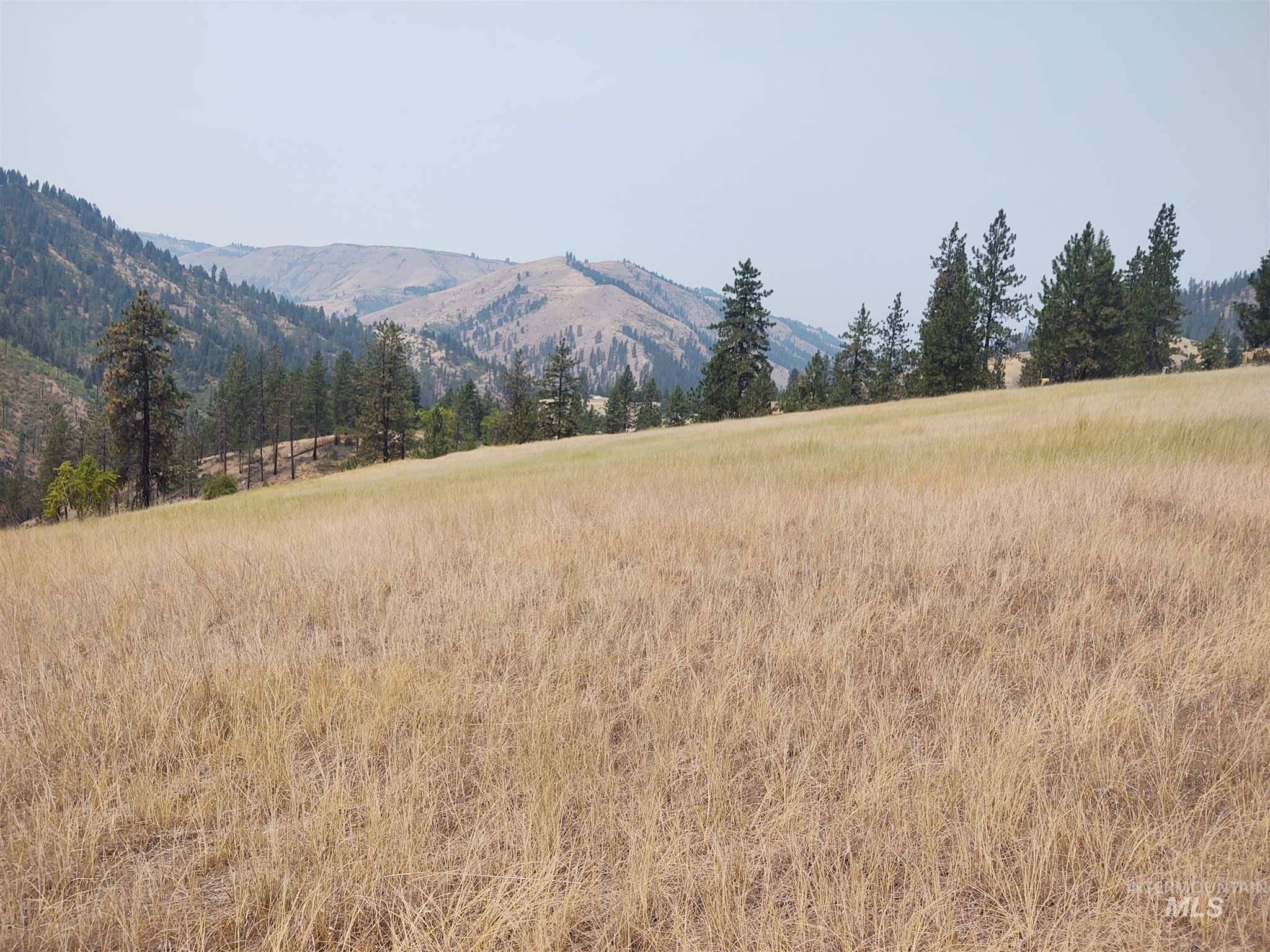 Kamiah, ID 83536,000 Pardee Tramway Lot18
