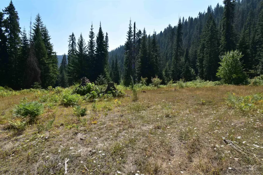 TBD Cedar Ridge Drive, Orofino, ID 83544