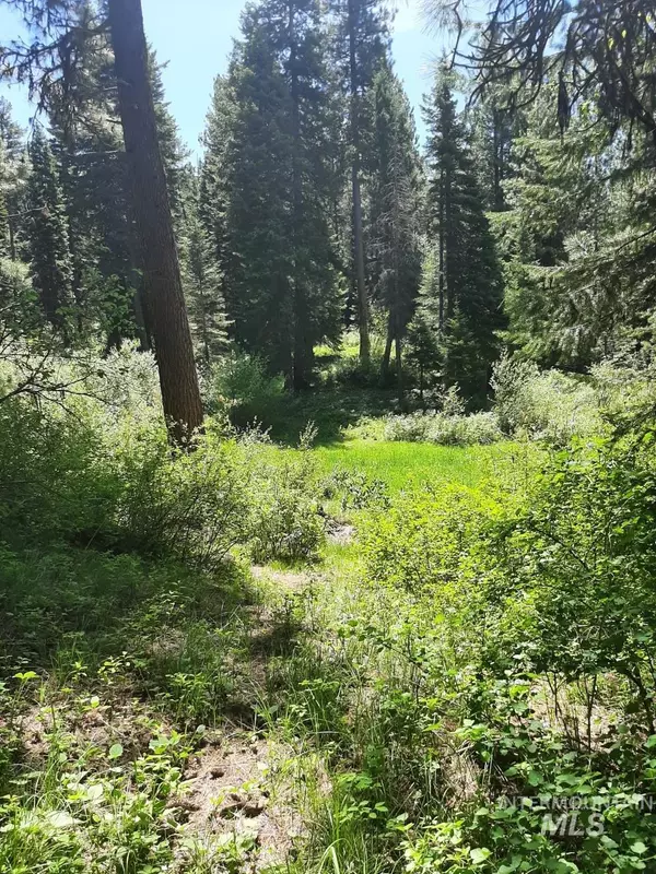 New Meadows, ID 83654,TBD Campbell Road